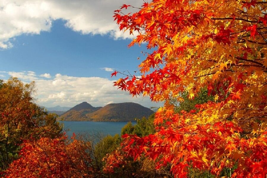 Hokkaido│Noboribetsu & Lake Toya Tour with Ropeway Ticket - Key points to know before booking