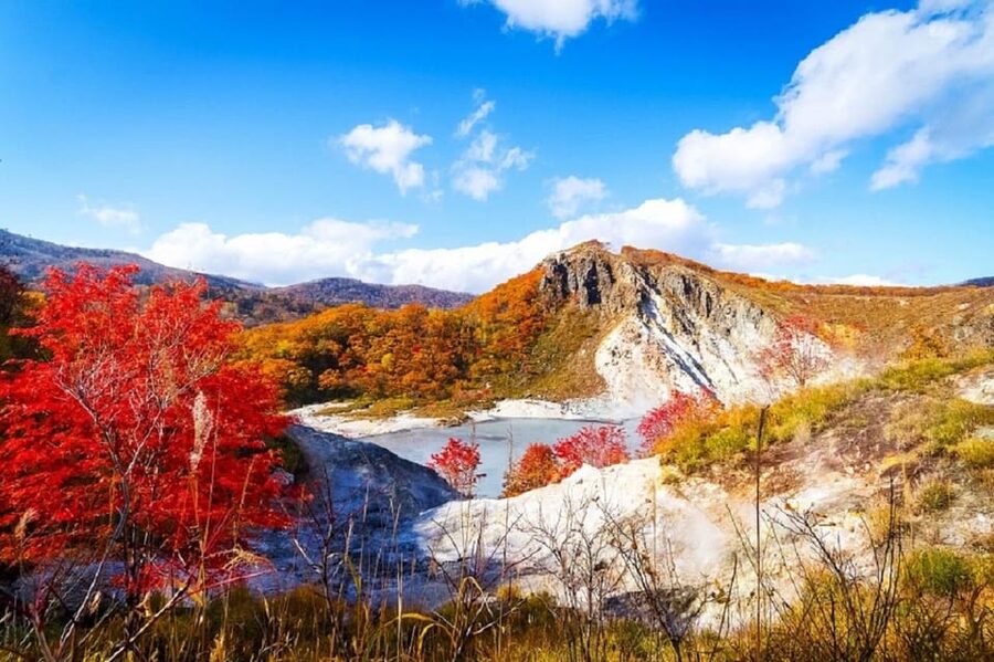 Hokkaido│Noboribetsu & Lake Toya Tour with Ropeway Ticket - Showa Shinzan, a volcano that rose in modern times