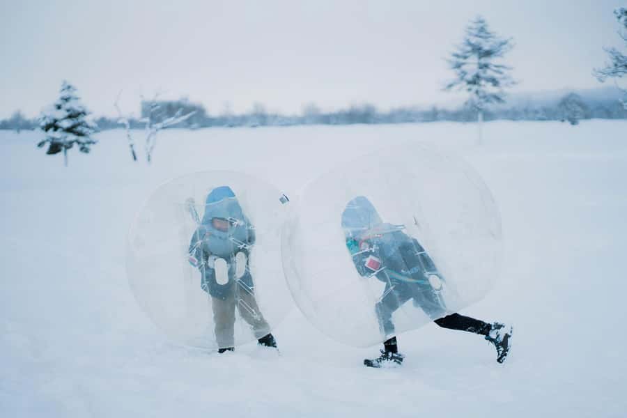 Hokkaido, Sappro, Otaru & Cape Kamui One-day Tour - Key points to know before booking