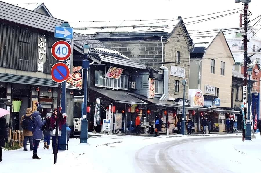 Hokkaido, Sappro, Otaru & Cape Kamui One-day Tour - Otaru Canal, Sakaimachi, and the music boxes