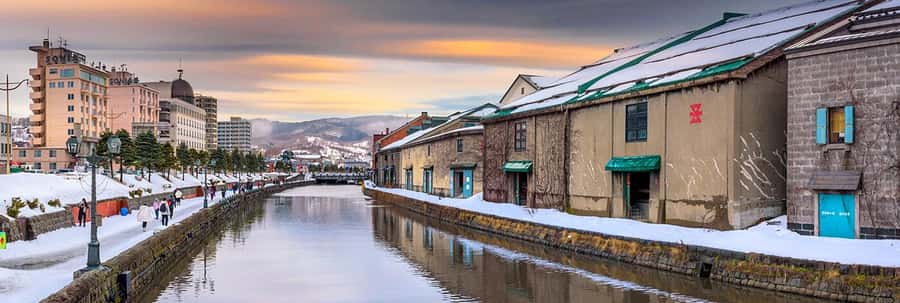 Hokkaido, Sappro, Otaru & Cape Kamui One-day Tour - Winter snow at Bibai and Otaru