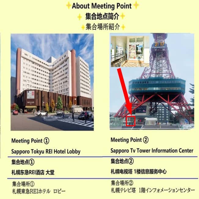 Hokkaido Tour:Sapporo to Noboribetsu, Lake Toya,Ice Festival - Key points to know before booking