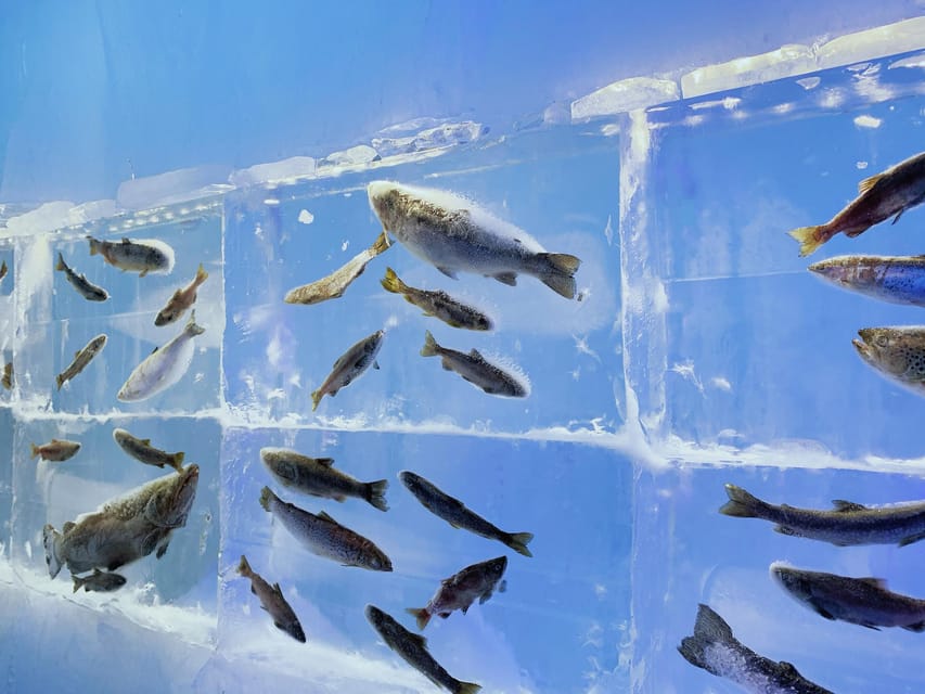 Hokkaido Tour:Sapporo to Noboribetsu, Lake Toya,Ice Festival - How the guides affect the experience