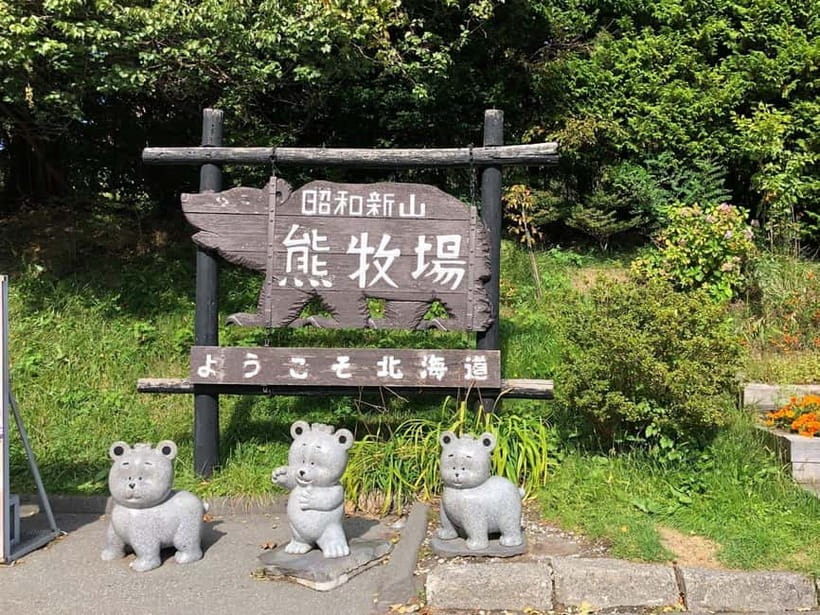 Hokkaido Tour:Sapporo to Noboribetsu, Lake Toya,Ice Festival - The schedule requires realistic expectations
