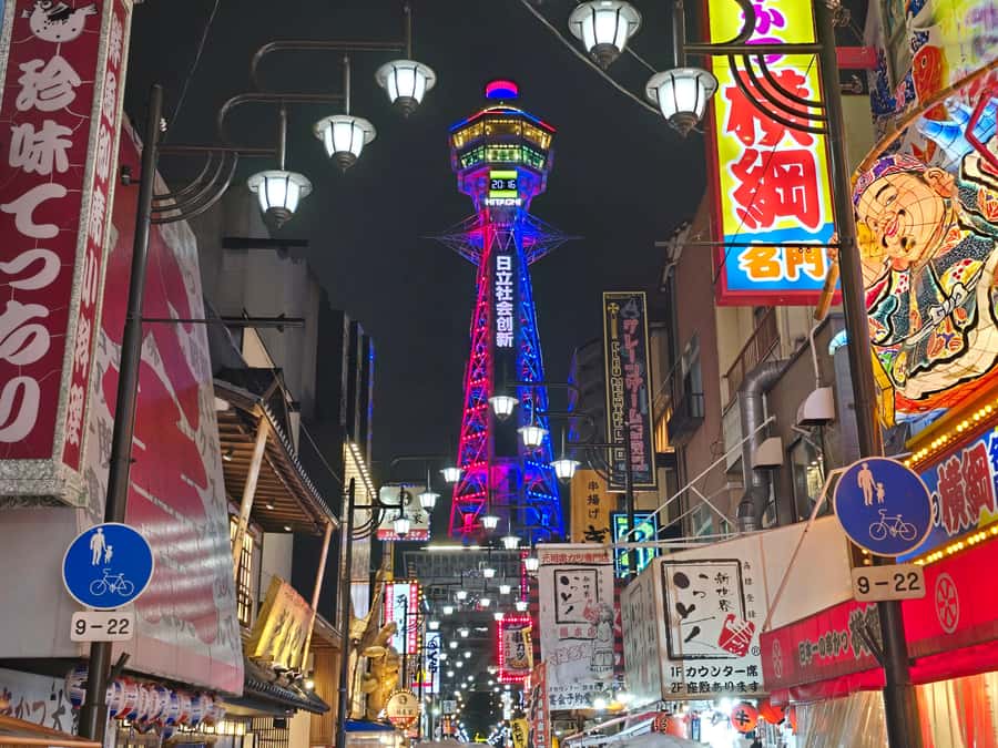 Hungry Osaka Street Food Tour: 15 Dishes & 3 Drinks - What the guides add to the meal