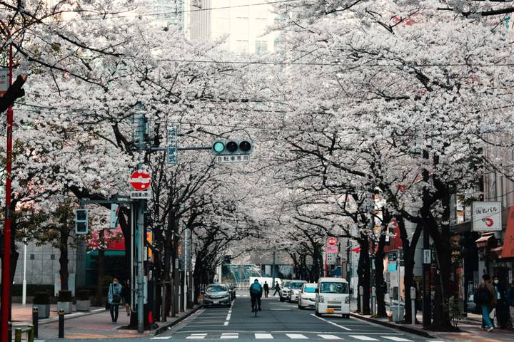 Imperial Capitals of Japan & Hiroshima Small Group Tour by Firebird Tours - 9 Days - Mount Fuji and Ashi Lake take a full day