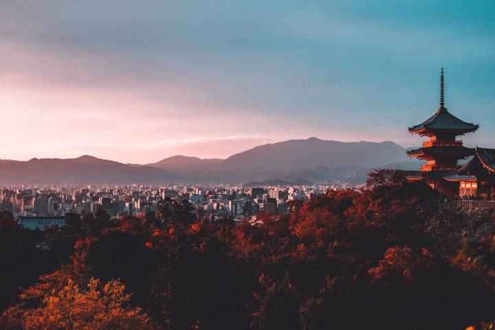 Imperial Capitals of Japan & Hiroshima Small Group Tour by Firebird Tours - 9 Days - Tokyo starts with palaces, trains and city views