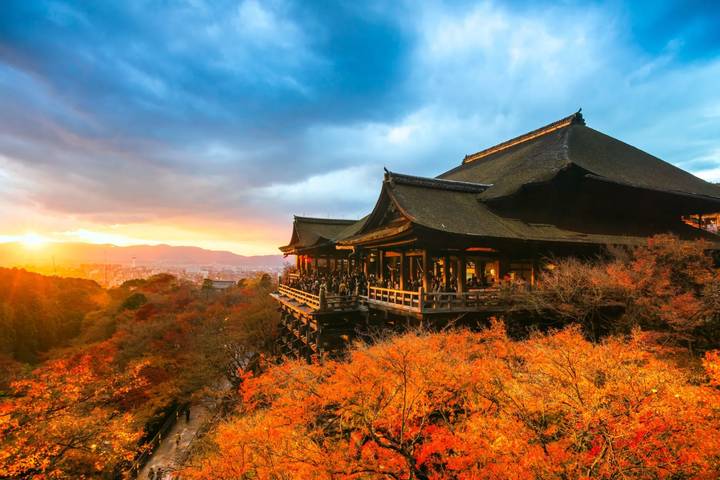 Imperial Capitals of Japan Small Group Tour by Firebird Tours - 7 Days Review - At a glance