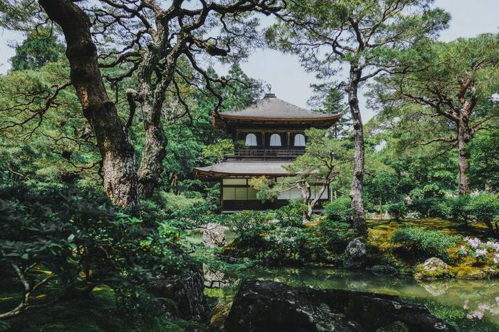 Imperial Capitals of Japan Small Group Tour by Firebird Tours - 7 Days Review - Seven days from Tokyo’s palace to Kyoto’s red gates