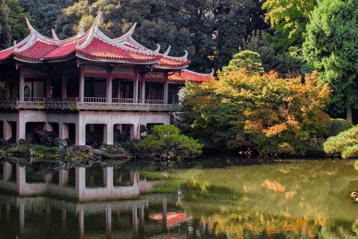 Imperial Capitals of Japan Small Group Tour by Firebird Tours - 7 Days Review - Day 4: The Shinkansen to Kyoto