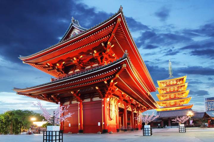 Imperial Capitals of Japan Small Group Tour by Firebird Tours - 7 Days Review - Day 5: Kyoto’s palace, bamboo grove, and tea ritual