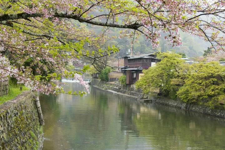Imperial Capitals of Japan Small Group Tour by Firebird Tours - 7 Days Review - Day 1: A soft landing in Tokyo