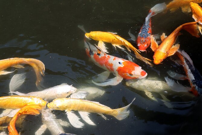 Imperial Palace East Garden and Edo Castle Walking Tour in Tokyo - Fitness, weather, and the two-and-a-half-hour timing