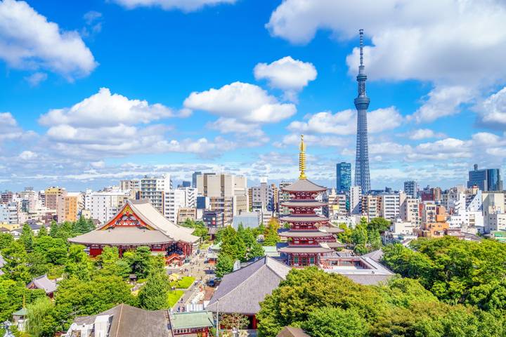 Independent Tokyo & Kyoto City Stays by Globus - 7-Day Tour Review - Two cities, with room to make the trip your own