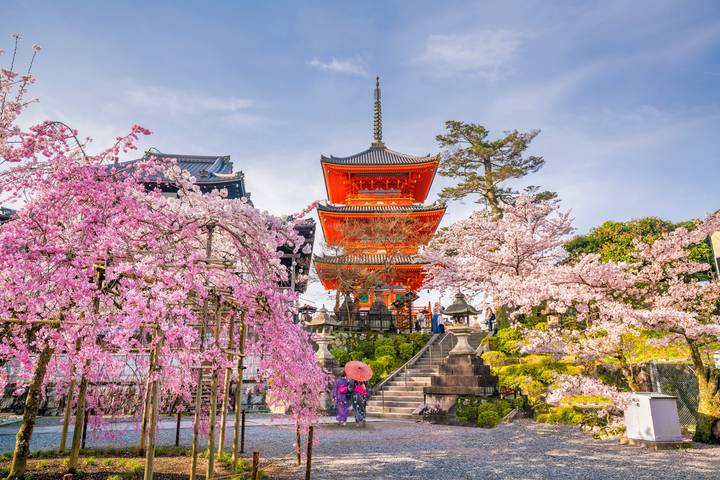 Independent Tokyo, Kyoto & Hiroshima City Stays by Globus - 9-Day Tour Review - The shinkansen makes the journey part of the trip