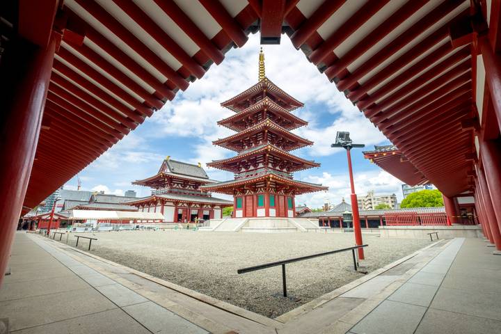 Independent Treasures of Japan by Globus - 11-Day Tokyo to Osaka Tour Review - Who will get the most from this trip
