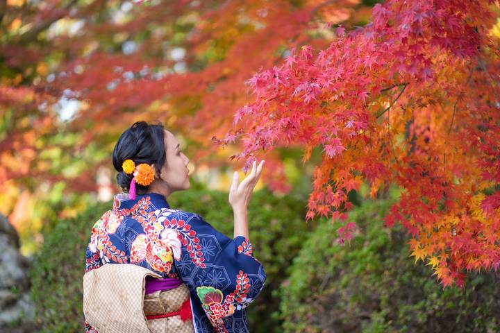 Independent Treasures of Japan by Globus - 11-Day Tokyo to Osaka Tour Review - The bullet train brings you to Kyoto