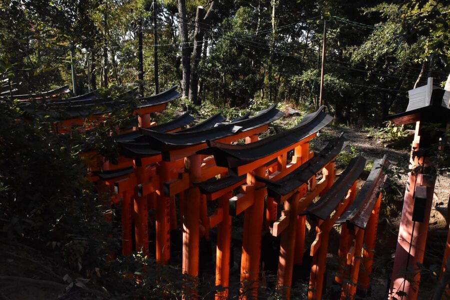 Inside of Fushimi Inari - exploring and lunch with locals - Who should book this Fushimi Inari walk?