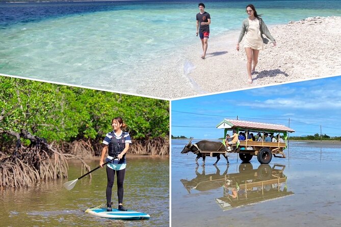 Iriomote 1 Day Mangrove SUP/Canoe, Barasu Island & Yubu Island - A lunch break in Uehara