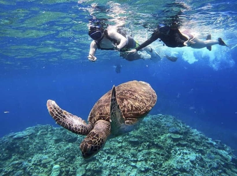 Iriomote: Boat Snorkeling Tour at Barasu Island - A half-day plan from Ishigaki