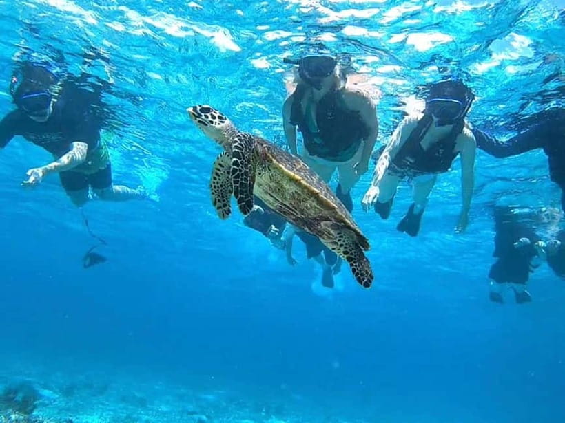 Iriomote: Boat Snorkeling Tour at Barasu Island - The eco-friendly promise