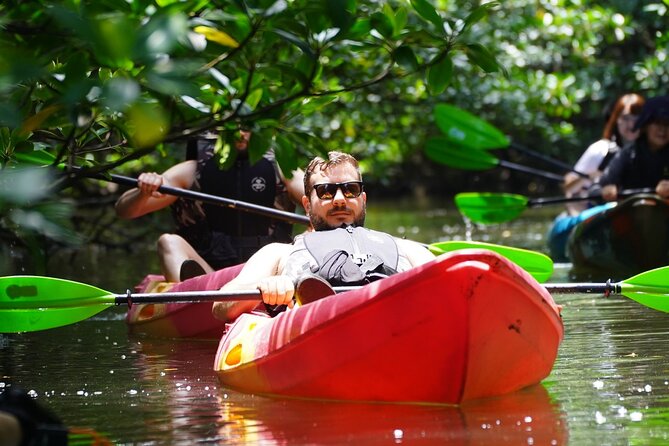 Iriomote Island 1-Day Snorkeling & Mangrove SUP or Canoe - Key points to know before booking