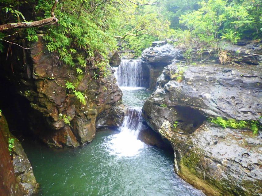Iriomote Island: Guided 2-Hour Canyoning Tour - Guides, language, and the small-group feel
