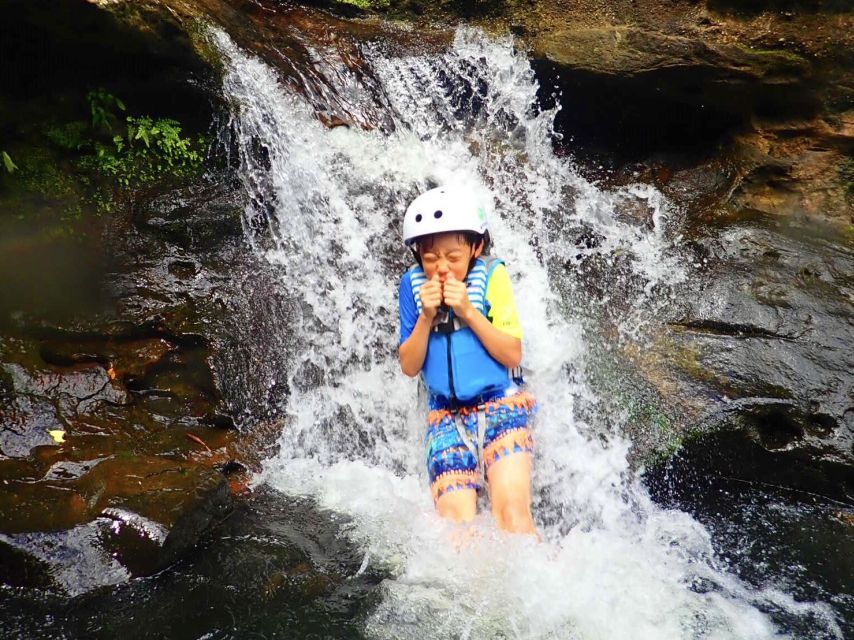Iriomote Island: Guided 2-Hour Canyoning Tour - What makes the tour a good family choice