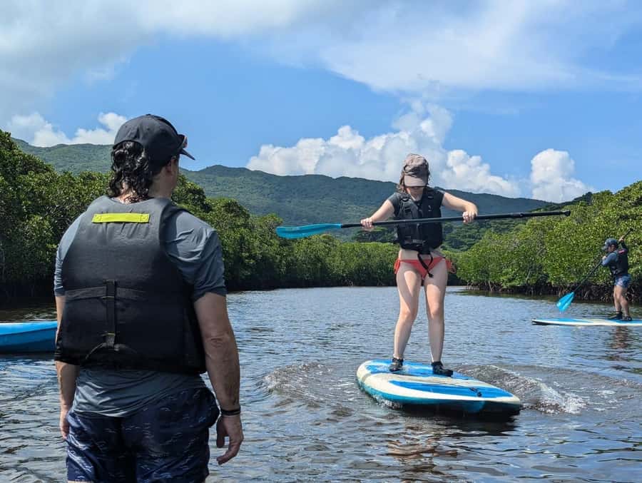 Iriomote island: Mangrove River SUP or Canoe Cruising Tour - Key points at a glance