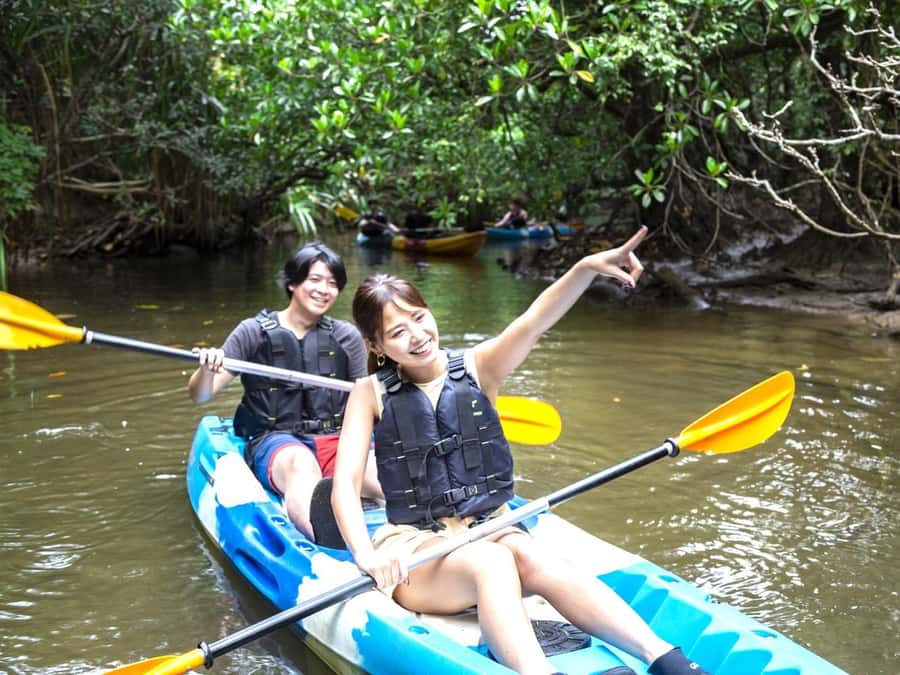 Iriomote island: Mangrove River SUP or Canoe Cruising Tour - Why Iriomote’s mangroves are worth your time