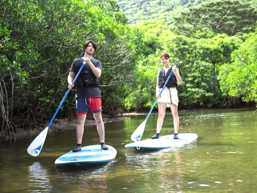 Iriomote island: Mangrove River SUP or Canoe Cruising Tour - Ninety minutes on the water