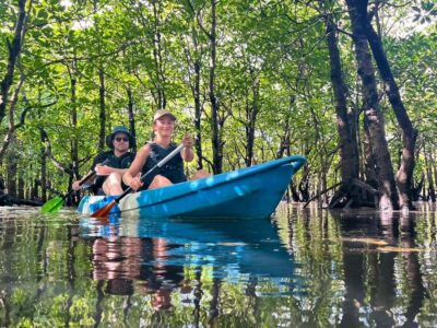 Iriomote island: Mangrove River SUP or Canoe Cruising Tour