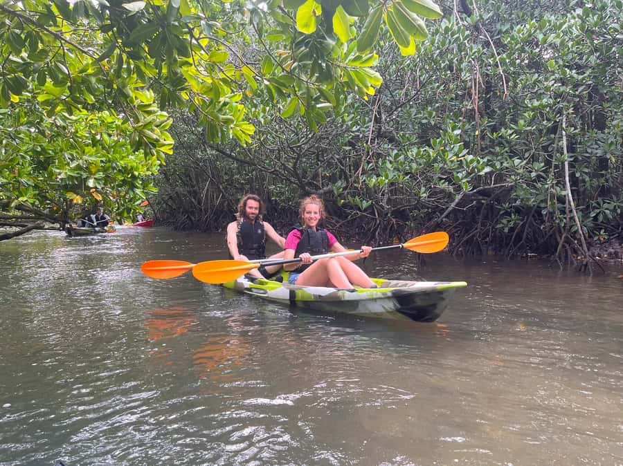 Iriomote island: Mangrove River SUP or Canoe Cruising Tour - Weather, tide, and physical effort