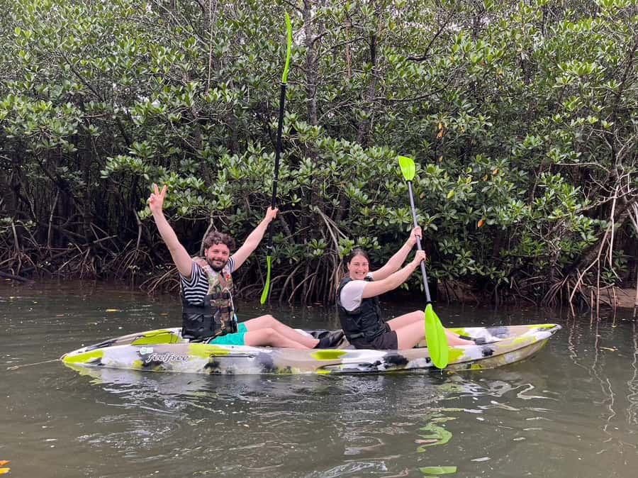 Iriomote island: Mangrove River SUP or Canoe Cruising Tour - Who gets the most from this tour