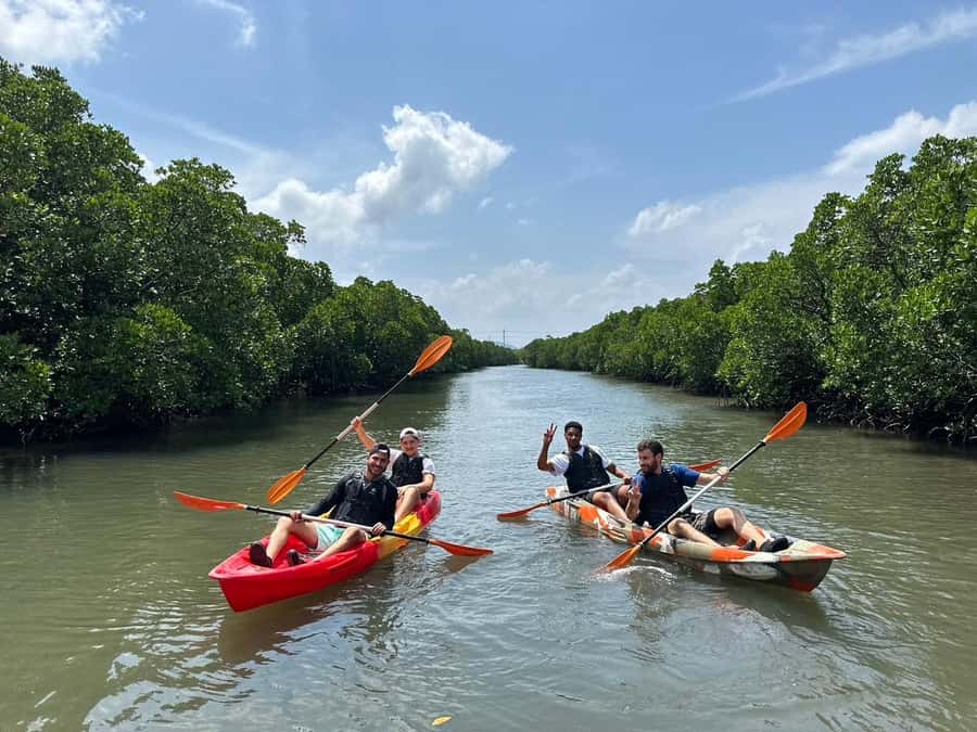 Iriomote island: Mangrove River SUP or Canoe Cruising Tour - Final decision: book the short mangrove tour or choose more?
