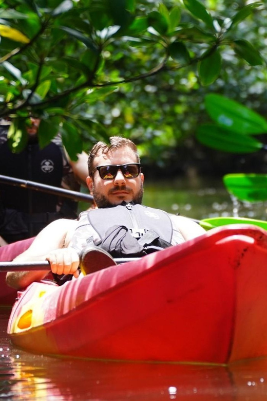 Iriomote: Mangrove SUP or Canoe and Yubujima sightseeing - Reaching Yubujima by bus and water buffalo