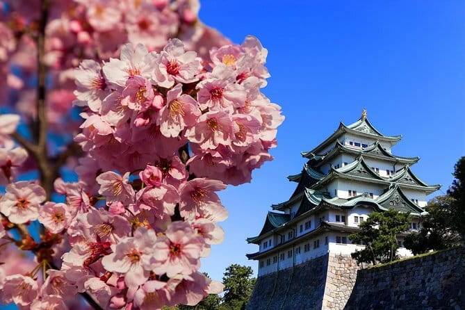 Ise’s Sacred Shrines and Captivating Coastlines - From Nagoya - Is the $210.87 Price Fair?