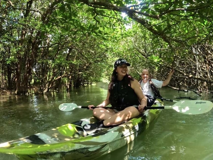 Ishigaki Island: 2-Hour Miyara River SUP or Canoeing Tour - Key points before you book
