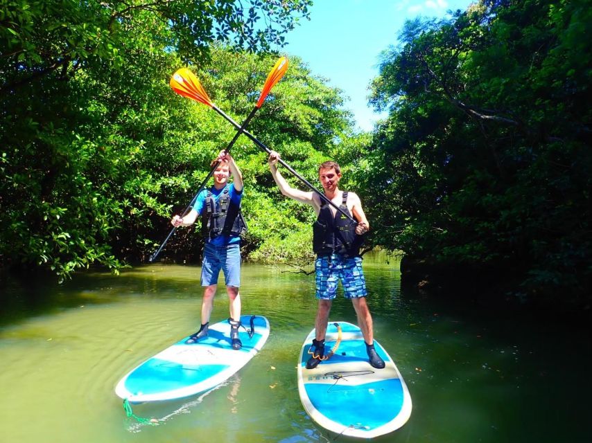 Ishigaki Island: 2-Hour Miyara River SUP or Canoeing Tour - Who should choose this Miyara River tour?