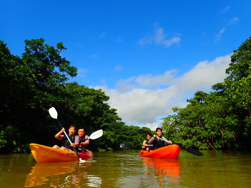 Ishigaki Island: 2-Hour Miyara River SUP or Canoeing Tour - Why the Miyara River is worth your morning
