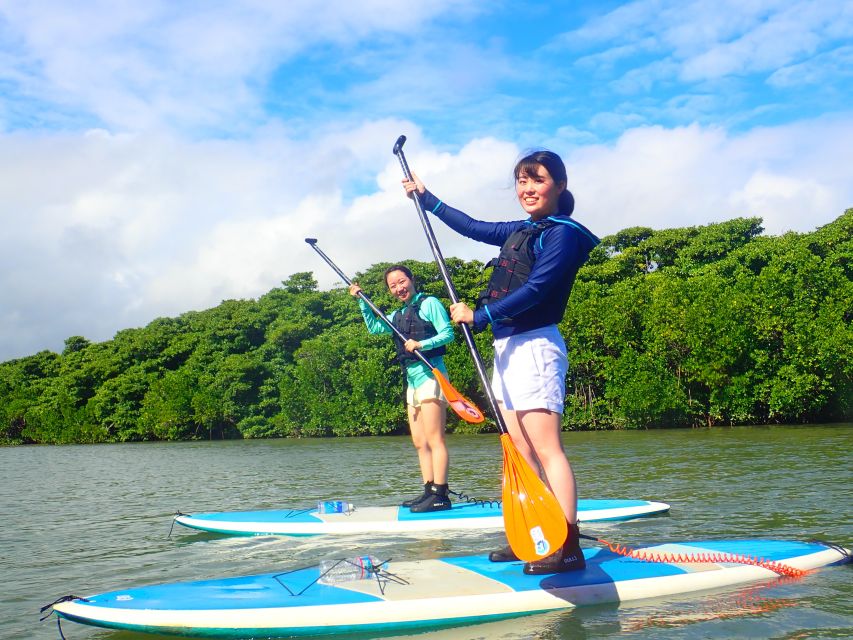 Ishigaki Island: 2-Hour Miyara River SUP or Canoeing Tour - What the mangrove paddle feels like