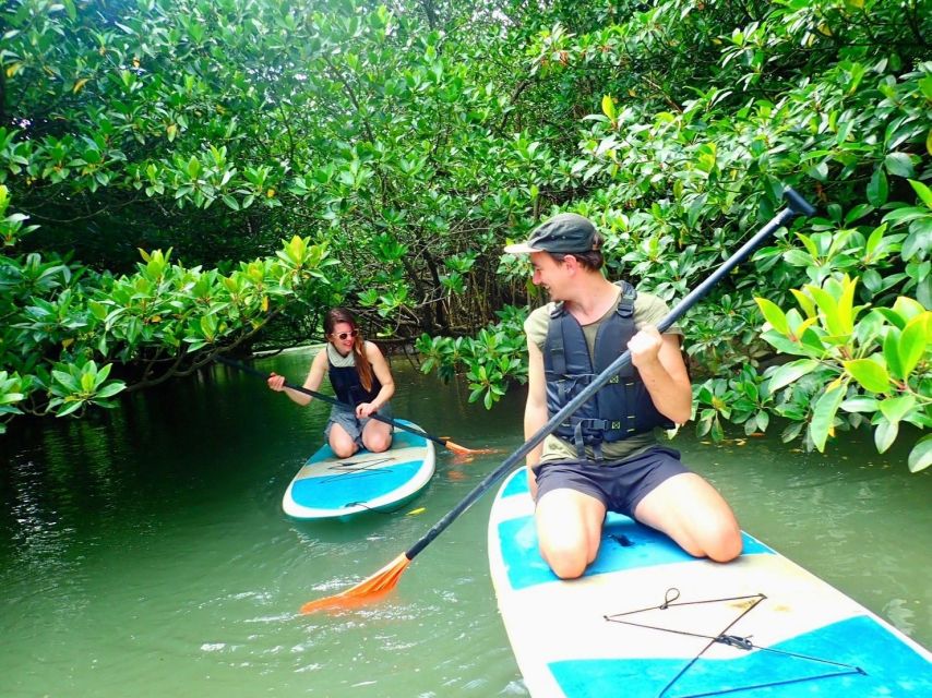 Ishigaki Island: 2-Hour Miyara River SUP or Canoeing Tour - Guides who make a short tour feel personal