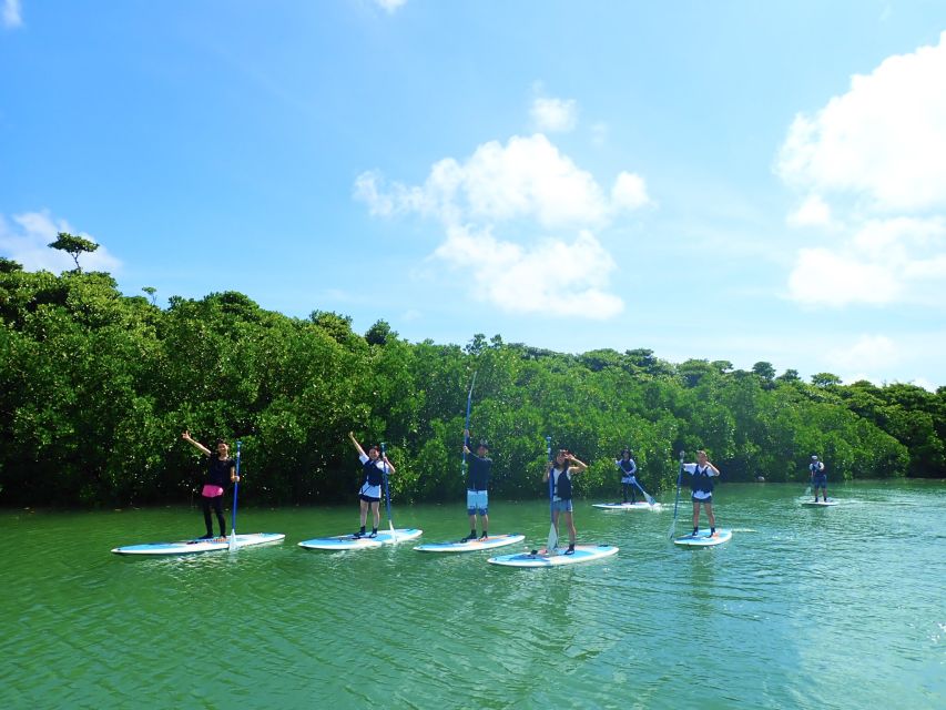 Ishigaki Island: 2-Hour Miyara River SUP or Canoeing Tour - Heat, rain, and seasonal comfort