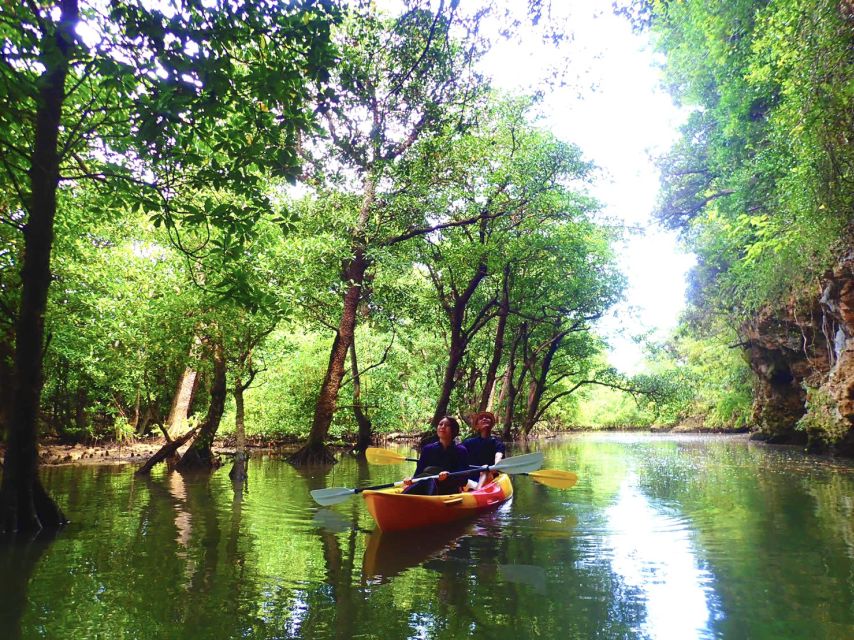 Ishigaki Island: 2-Hour Miyara River SUP or Canoeing Tour - Is $54 good value?