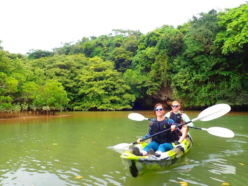 Ishigaki Island: 2-Hour Miyara River SUP or Canoeing Tour - Meeting at Ishigaki Port Remote Island Terminal