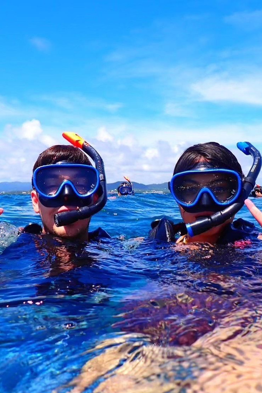 Ishigaki Island: Blue Cave Exploration & Snorkeling Tour - What marine life might you see?