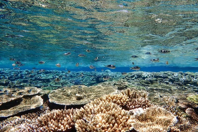 Ishigaki Island: Blue Cave Exploration & Snorkeling Tour - What to bring and what to leave behind