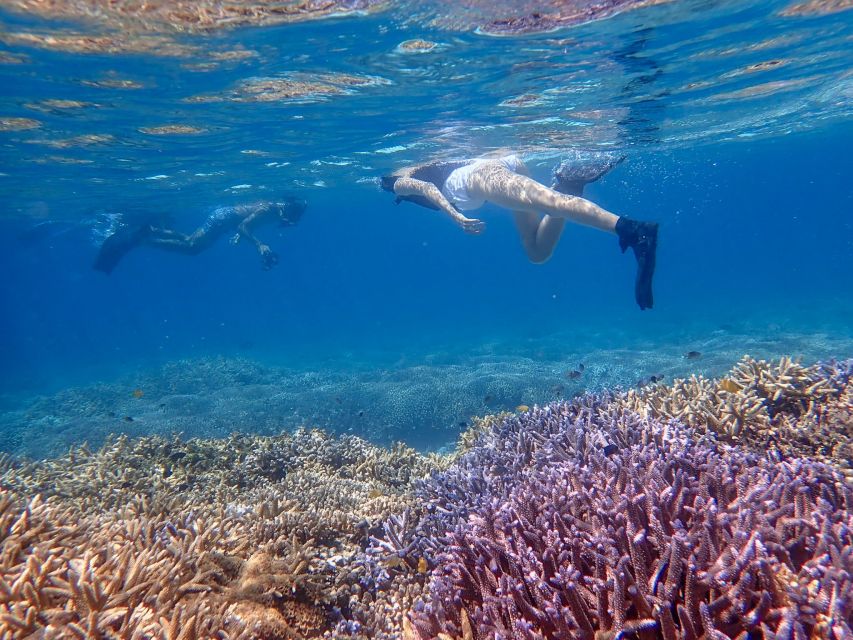 Ishigaki Island: Boat Snorkeling Tour at Phantom Island - Why Phantom Island makes this boat trip special