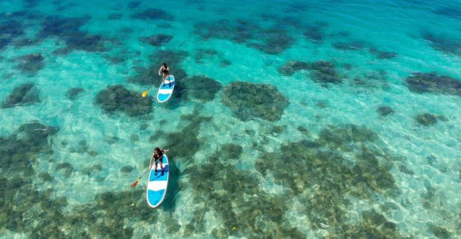 Ishigaki Island: SUP or Kayaking experience at Kabira Bay - Key points at a glance