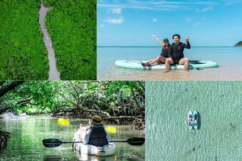 Ishigaki:Mangrove&Sea SUP/Kayak Tour with SLR&Drone footage - Why this two-hour Ishigaki outing earns attention